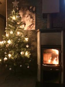 レヴィにあるLevinlentoのリビングルーム(暖炉付)のクリスマスツリー