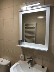 ein Badezimmer mit einem Waschbecken, einem Spiegel und einem WC in der Unterkunft Vaals B&B Suite Apartment in Vaals