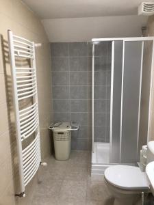 a bathroom with a shower and a toilet and a sink at Vaals B&B Suite Apartment in Vaals