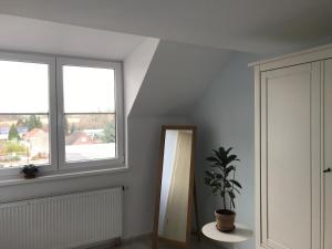 a room with a mirror and a potted plant at Vaals B&B Suite Apartment in Vaals