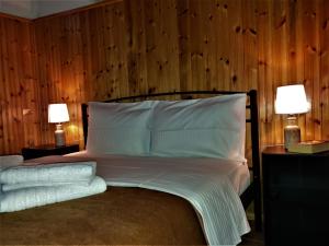 Voodi või voodid majutusasutuse Hotel Acropolis Metsovo toas