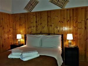 Voodi või voodid majutusasutuse Hotel Acropolis Metsovo toas