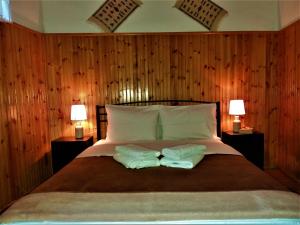 Voodi või voodid majutusasutuse Hotel Acropolis Metsovo toas