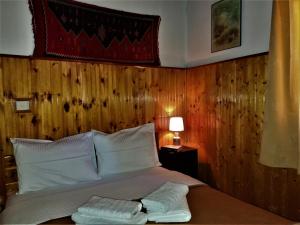 Voodi või voodid majutusasutuse Hotel Acropolis Metsovo toas