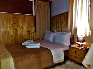 Voodi või voodid majutusasutuse Hotel Acropolis Metsovo toas