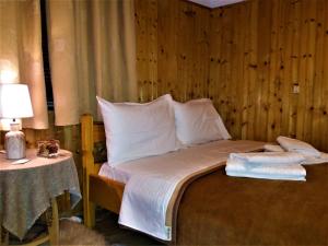 Voodi või voodid majutusasutuse Hotel Acropolis Metsovo toas