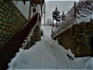 Hotel Acropolis Metsovo v zimě + 15 fotografií