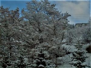 Hotel Acropolis Metsovo talvel