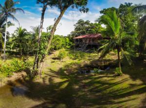 a house in the middle of a field with palm trees at Casa Grande at Pacuare Reserve in Matina