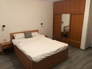 1 dormitorio con 1 cama grande y armario en Microapartament Campulung Moldovenesc, en Câmpulung Moldovenesc