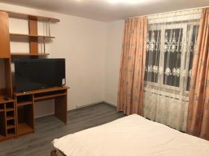 Μια τηλεόραση ή/και κέντρο ψυχαγωγίας στο Microapartament Campulung Moldovenesc