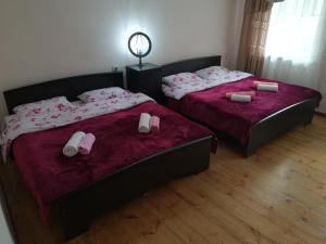 2 camas en una habitación con almohadas rosas. en Rocky Island, en Kazbegi