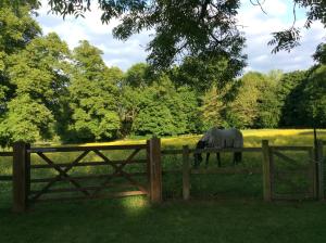 Gallery image of Cobblestones in Benington