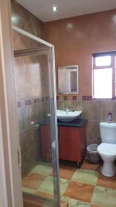 a bathroom with a shower and a toilet and a sink at Hornbills Rest Country Home in Phalaborwa