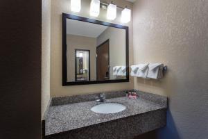 y baño con lavabo y espejo. en Ramada by Wyndham Glendale Heights/Lombard, en Glendale Heights