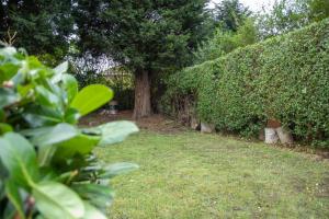 a garden with green bushes and a tree at WV1 Bridge House - 3 Bedrooms, sleeps 6 free Parking - New Cross - Bentley Bridge - 欢迎 in Wolverhampton