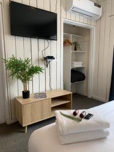 TV a/nebo společenská místnost v ubytování Snowman Lodge and Spa