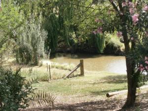 
a man standing on a bench next to a pond at Kellys Motel Oakey in Oakey
