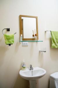 y baño con lavabo, espejo y aseo. en Guesthouse Casa Lapa2, en Alajuela