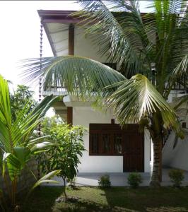 a house with a palm tree in front of it at Little Sunshine Guest House & Restaurant in Tangalle