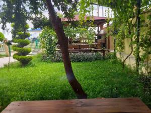 Zahrada ubytování Villa Natali
