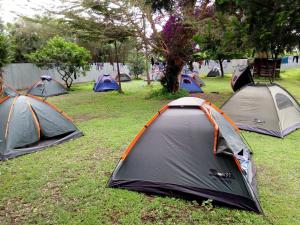 un gruppo di tende che si trovano nell'erba di Kivu Resort a Nakuru