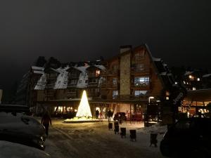 a christmas tree in front of a building at night at Apartman 304 - Aparthotel Vucko in Jahorina