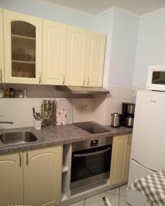 eine Küche mit weißen Schränken, einer Spüle und einem Kühlschrank in der Unterkunft Apartment Barbara in Regensburg