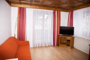 Televízia a/alebo spoločenská miestnosť v ubytovaní Hotel Sonne