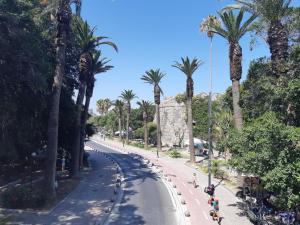 a street with palm trees and people riding bikes at Hestia in Kos