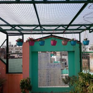 a greenhouse with potted plants hanging from a ceiling at Tara Guest House in Varanasi