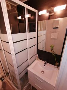 a bathroom with a white sink and a mirror at appartement T2 biscarosse plage in Biscarrosse-Plage