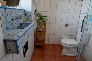 a bathroom with a toilet and a sink at Caldeira Guesthouse in Fajã da Caldeira de Santo Cristo