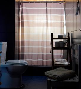 a bathroom with a toilet and a shower curtain at Caldeira Guesthouse in Fajã da Caldeira de Santo Cristo