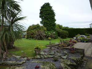 a garden with potted plants on the grass at Eildon in Menai Bridge