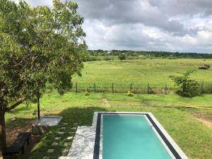 Piscina en o cerca de Tree Tops Yala