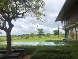 Piscina en o cerca de Tree Tops Yala
