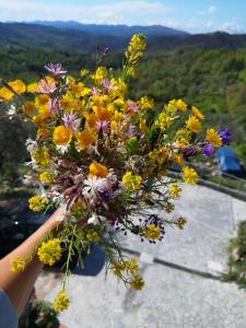 a person holding a bouquet of flowers at Relax in Sesta Godano