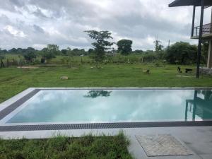 Piscina en o cerca de Tree Tops Yala