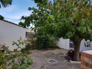 a woman sitting under a tree in a courtyard at Exclusive Apartment - Playa de Marenys de Rafalcaid in Gandía