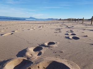 a group of footprints in the sand on a beach at Exclusive Apartment - Playa de Marenys de Rafalcaid in Gandía