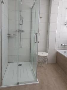 a shower with a glass door in a bathroom at Exclusive Apartment - Playa de Marenys de Rafalcaid in Gandía