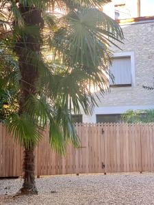 una palmera frente a una valla de madera en 7 Hotel Particulier en Agen