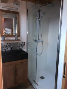 une douche avec une porte vitrée dans une salle de bain dans l'établissement La maison de la montagne, au Bourg-dʼOisans