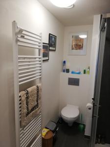 a small bathroom with a toilet and a shower at Tagusnunus in Brussels