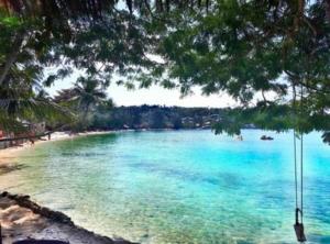a swing hanging from a tree over a beach at Reggae Garden Villas in Salad Beach