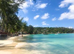 a beach with turquoise water and palm trees at Reggae Garden Villas in Salad Beach