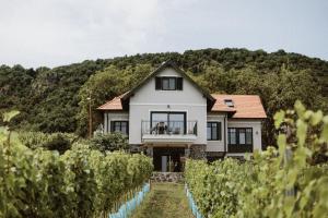 a house in the middle of a vineyard at Éliás Borbirtok in Badacsonytomaj