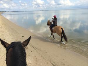 a person riding a horse on the beach at Perle am Munkmarscher Watt in Munkmarsch