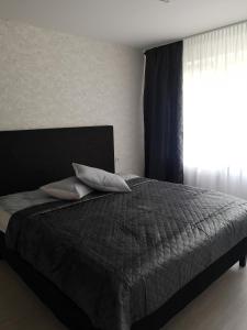 - une chambre avec un lit doté d'oreillers et d'une fenêtre dans l'établissement Parko apartamentai, à Panevėžys